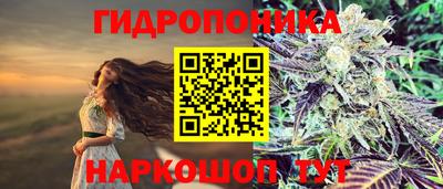 jwh Рузаевка