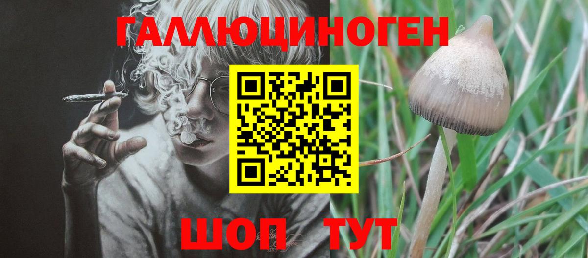 Галлюциногенные грибы GOLDEN TEACHER  Вход с VPN  Галлюциногенные грибы ЛСД  Псков 
